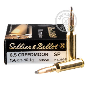 Image detailing the brass case on the Sellier & Bellot ammunition.