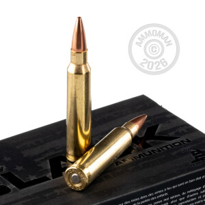 Image of 223 Remington rifle ammunition at AmmoMan.com.
