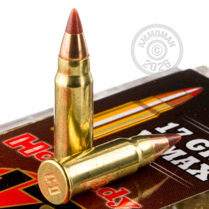 Photograph showing detail of 17 HM2 HORNADY VARMINT EXPRESS 17 GRAIN V-MAX (500 ROUNDS)