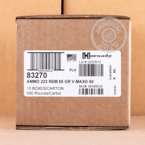 A photo of a box of Hornady ammo in 223 Remington.