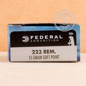 Image of 223 Remington rifle ammunition at AmmoMan.com.