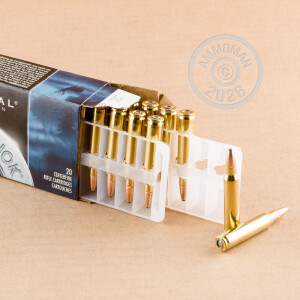 A photograph detailing the 223 Remington ammo with soft point bullets made by Federal.