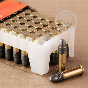  rounds of .22 Long Rifle ammo with Lead Round Nose (LRN) bullets made by Federal.
