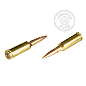 Image detailing the brass case on the Hornady ammunition.