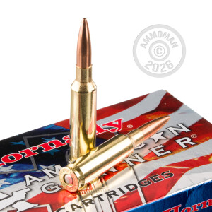 Image detailing the brass case on the Hornady ammunition.
