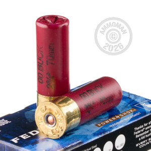  rounds ideal for hunting or home defense.