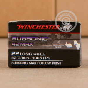  rounds of .22 Long Rifle ammo with Lead Hollow Point (LHP) bullets made by Winchester.