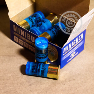  ammo made by NobelSport with a 2-1/4" shell.