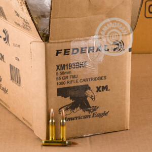 Image detailing the brass case on the Federal ammunition.