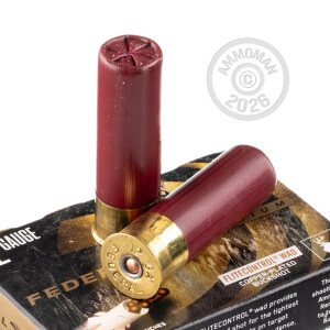  00 BUCK shotgun rounds for sale at AmmoMan.com - 250 rounds.