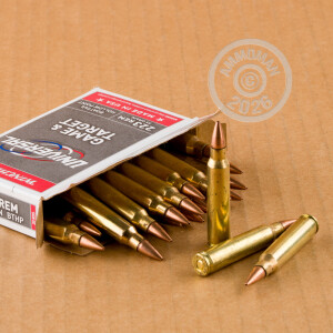 A photograph detailing the 223 Remington ammo with Hollow-Point Boat Tail (HP-BT) bullets made by Winchester.