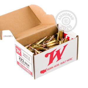 Image detailing the brass case on the Winchester ammunition.