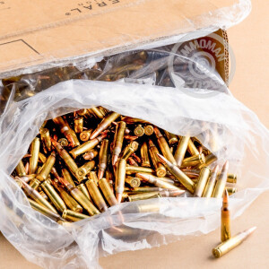 Image detailing the brass case on the Federal ammunition.