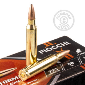 An image of 223 Remington ammo made by Fiocchi at AmmoMan.com.