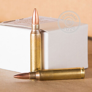 A photo of a box of Prvi Partizan ammo in 5.56x45mm.