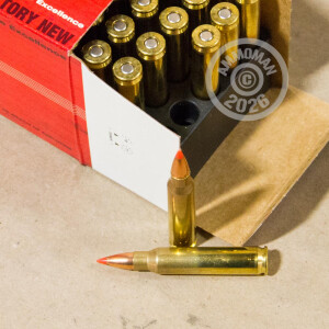 Photo detailing the 223 REMINGTON BLACK HILLS 50 GRAIN V-MAX POLYMER TIP (50 ROUNDS) for sale at AmmoMan.com.
