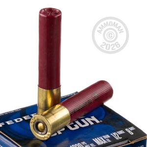 Photograph showing detail of 410 BORE FEDERAL TOP GUN 2-1/2" 1/2 OZ. #8 SHOT (250 ROUNDS)