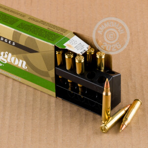 Image detailing the brass case on the Remington ammunition.