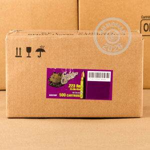 Image detailing the brass plated steel case on the Golden Bear ammunition.