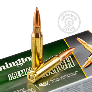 Image of 308 / 7.62x51 rifle ammunition at AmmoMan.com.