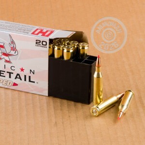 Image of the 243 WIN HORNADY AMERICAN WHITETAIL TIPPED 95 GRAIN SST (20 ROUNDS) available at AmmoMan.com.