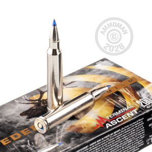 Image of the 300 WIN MAG FEDERAL 200 GRAIN TERMINAL ASCENT (20 ROUNDS) available at AmmoMan.com.