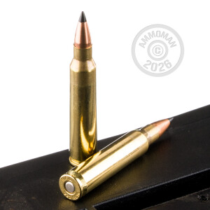 Image of Fiocchi 223 Remington rifle ammunition.