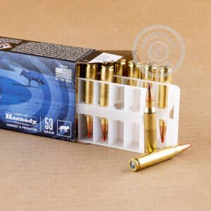 A photograph of 200 rounds of 53 grain 223 Remington ammo with a V-MAX bullet for sale.