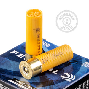 Photo detailing the 20 GAUGE FEDERAL GAME LOAD UPLAND HI-BRASS 2-3/4" 1 OZ. #4 SHOT (250 ROUNDS) for sale at AmmoMan.com.