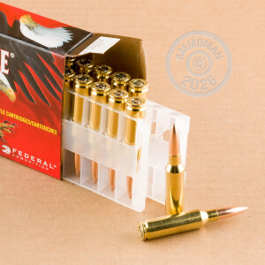 Image detailing the brass case on the Federal ammunition.
