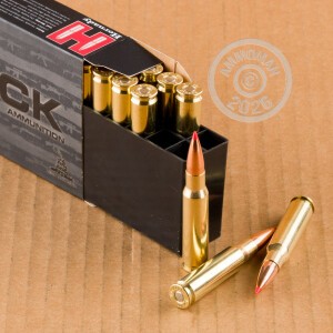 Image detailing the brass case on the Hornady ammunition.