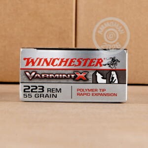 Image of 223 Remington rifle ammunition at AmmoMan.com.
