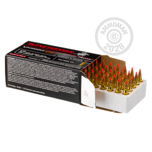 Photograph showing detail of 17 WSM WINCHESTER VARMINT HV 20 GRAIN POLYMER TIP (500 ROUNDS)