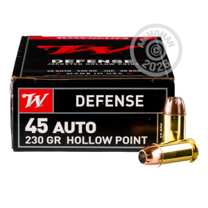 Photograph showing detail of 45 ACP WINCHESTER 230 GRAIN JHP (50 ROUNDS)