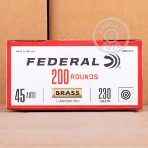 Image detailing the brass case and boxer primers on the Federal ammunition.