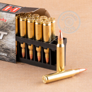 Image detailing the brass case on the Hornady ammunition.