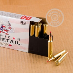 Image detailing the brass case on the Hornady ammunition.