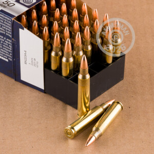 Image of 223 Remington rifle ammunition at AmmoMan.com.