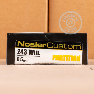 Image of 243 Winchester ammo by Nosler Ammunition that's ideal for hunting wild pigs, whitetail hunting.