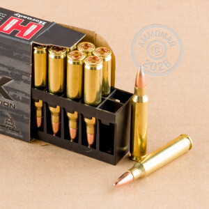 A photograph detailing the 5.56x45mm ammo with FMJ bullets made by Hornady.