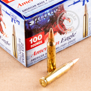A photograph of 1000 rounds of 55 grain 223 Remington ammo with a FMJ-BT bullet for sale.