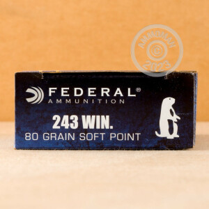 Image of 243 WIN. FEDERAL POWER SHOK 80 GRAIN SP AMMO 20 ROUNDS