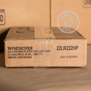 Image of the 22 LR WINCHESTER 36 GRAIN CPHP (2220 ROUNDS) available at AmmoMan.com.