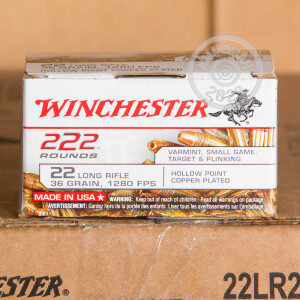 Photo detailing the 22 LR WINCHESTER 36 GRAIN CPHP (222 ROUNDS) for sale at AmmoMan.com.
