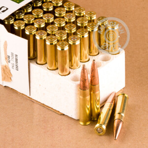A photograph detailing the 300 AAC Blackout ammo with Open Tip bullets made by Remington.