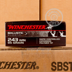 Photo detailing the 243 WIN 95 GRAIN WINCHESTER BALLISTIC SILVERTIP (20 ROUNDS) for sale at AmmoMan.com.