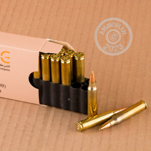 A photograph of 800 rounds of 62 grain 5.56x45mm ammo with a Penetrator bullet for sale.