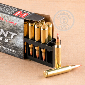A photograph of 20 rounds of 40 grain 223 Remington ammo with a V-MAX bullet for sale.