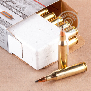 Photograph showing detail of 243 WIN WINCHESTER VARMINT-X 58 GRAIN POLYMER TIP (20 ROUNDS)