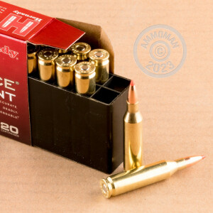 Image of the 243 WIN HORNADY SUPERFORMANCE VARMINT 75 GRAIN PT (20 ROUNDS) available at AmmoMan.com.